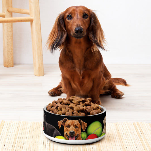 Tennis Balls and Dogs bowl